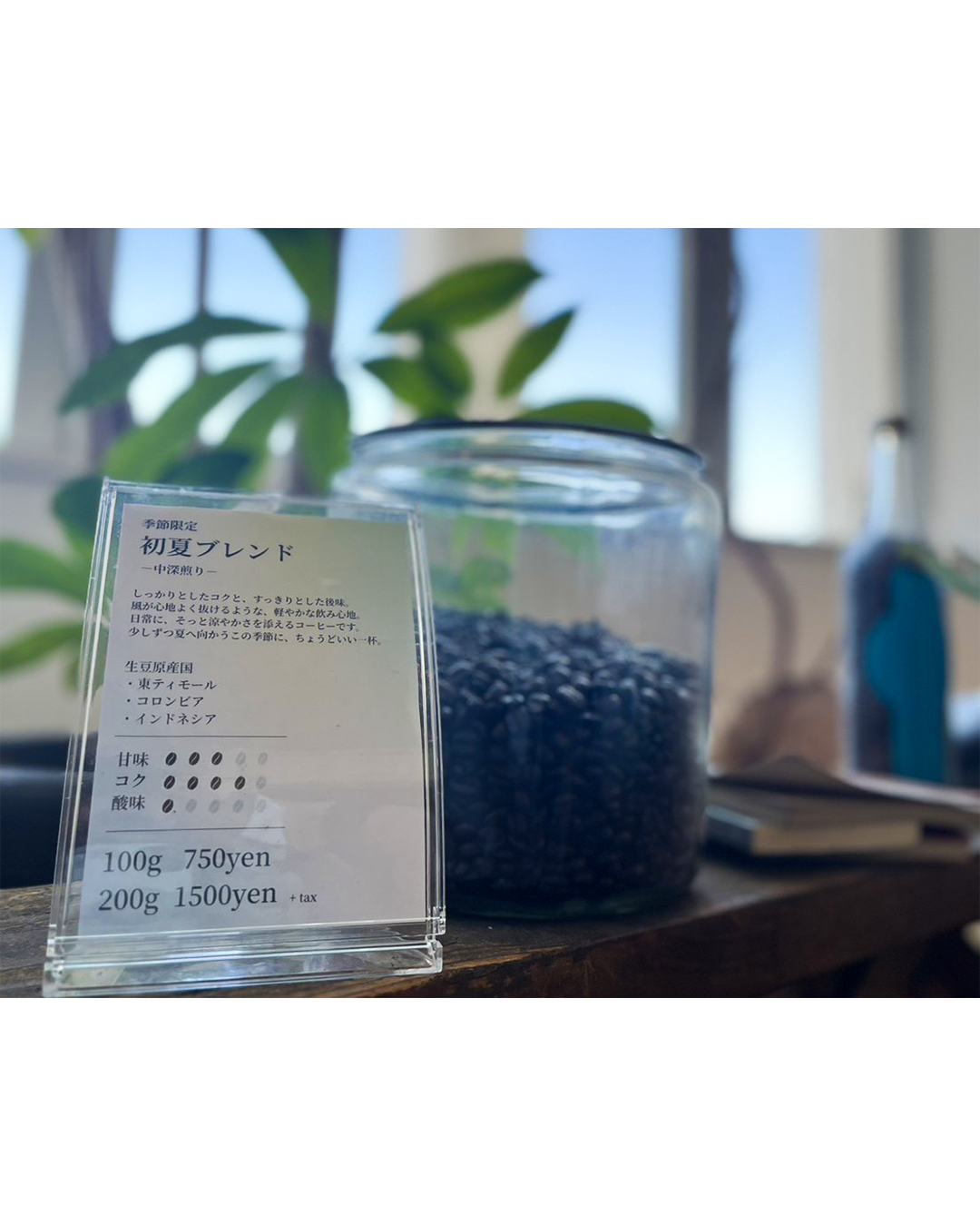 初夏ブレンドのご紹介｜北摂焙煎所/cafe matin