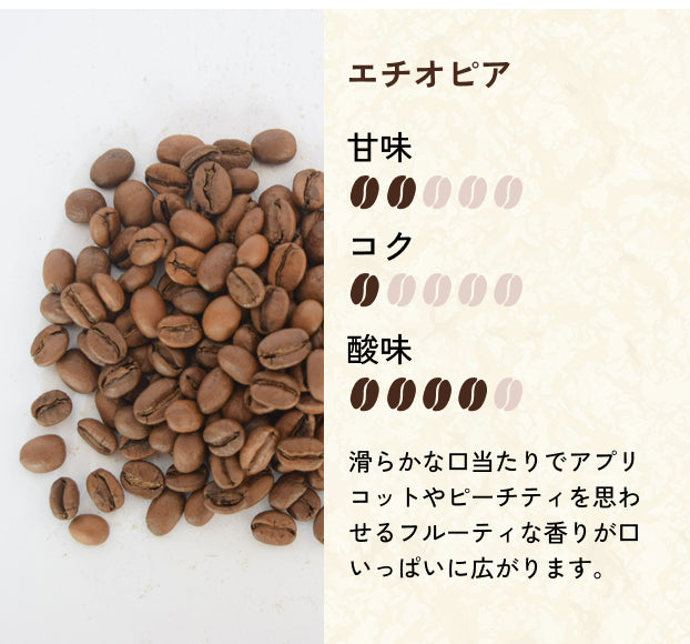 【中浅煎り】エチオピア ナチュラル イルガチェフェイディド